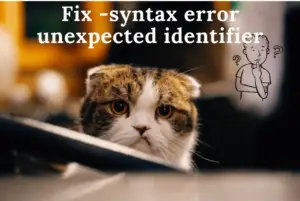 syntax error unexpected identifier